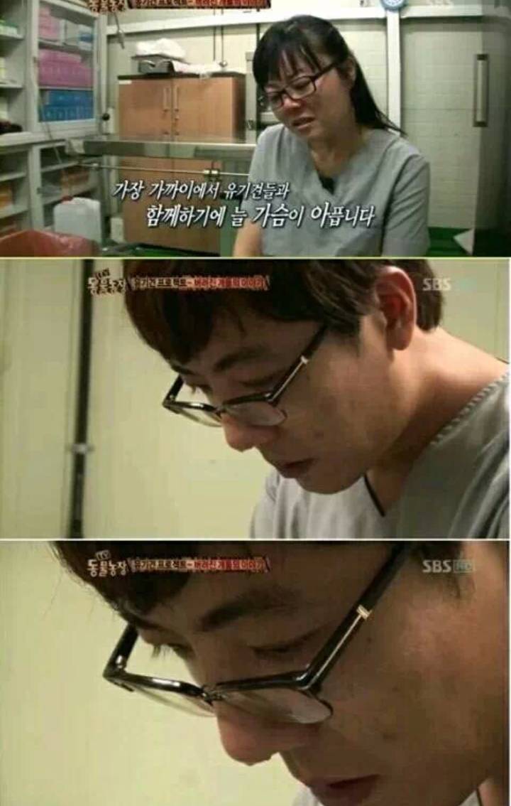 유기견을 안락사시키는 수의사들의 심정.... | 인스티즈