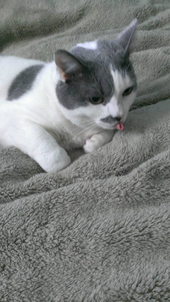 너 이거 돼? | 인스티즈