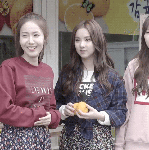 [여자친구] 트와리즈 음원 기다리면서 보는 순둥순둥 정은비 | 인스티즈