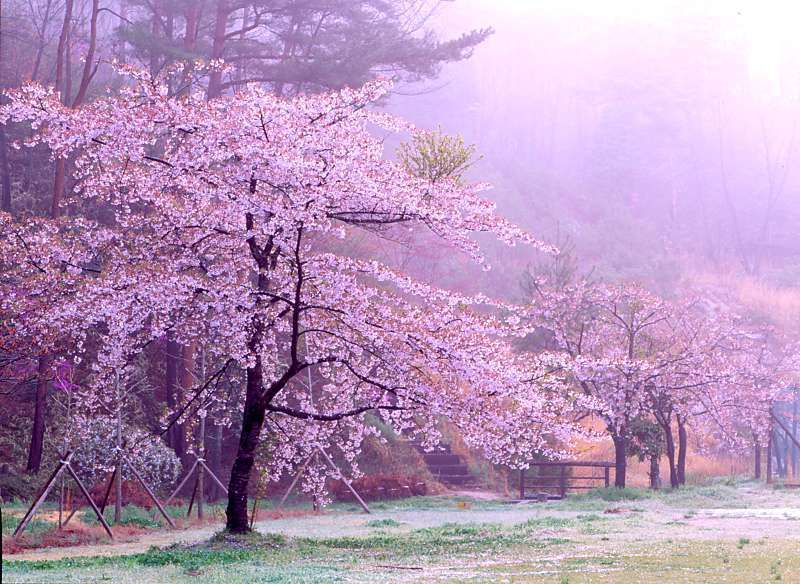 메이플스토리 마을과 비슷한 장소 사진 모아봤음(짱예&추억주의) | 인스티즈