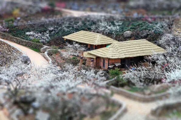 장난감 기법으로 촬영한 우리나라 풍경들 | 인스티즈