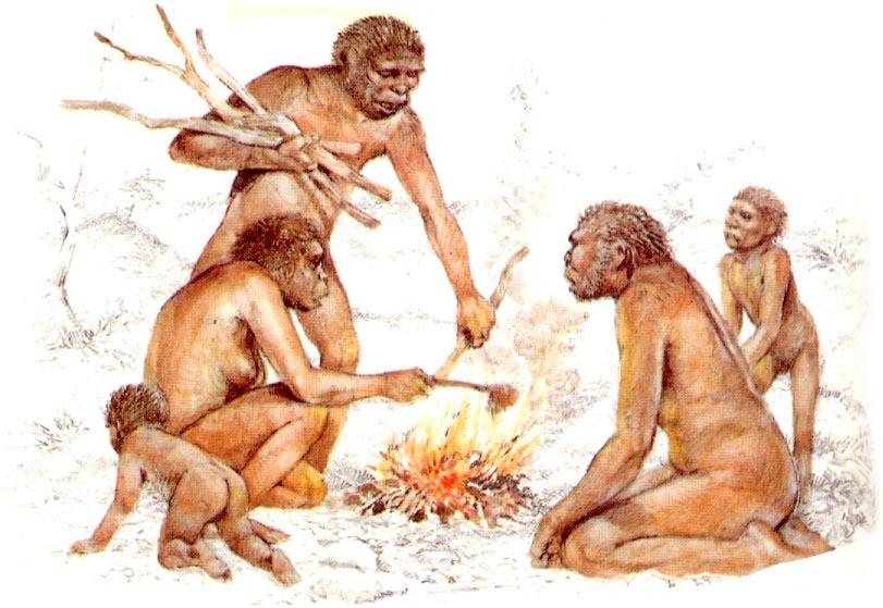 절대 털끝 하나 다치지 않는다는 가정하에,문명을 경험할 수 있다면? | 인스티즈