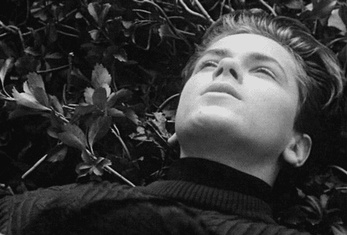 [리버피닉스] 이름처럼 명을 다하고 일찍히 날아 가버린 청춘 | 인스티즈