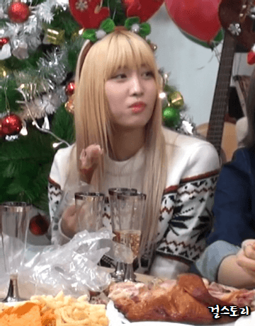 잘 먹는 모모.gif | 인스티즈