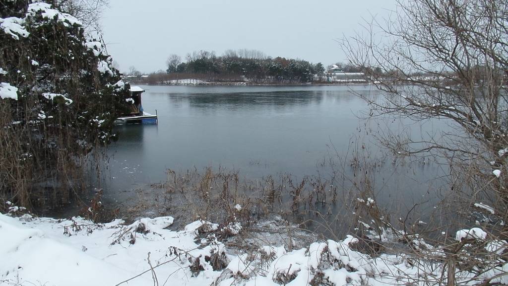 전북 전주 백석제 호수의 아름다운 겨울 풍경 (안구정화) | 인스티즈