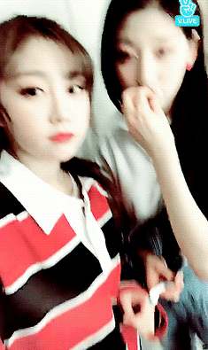 평소 서로 닮았다는 얘기 엄청듣는 러블리즈 멤버.jpgif | 인스티즈