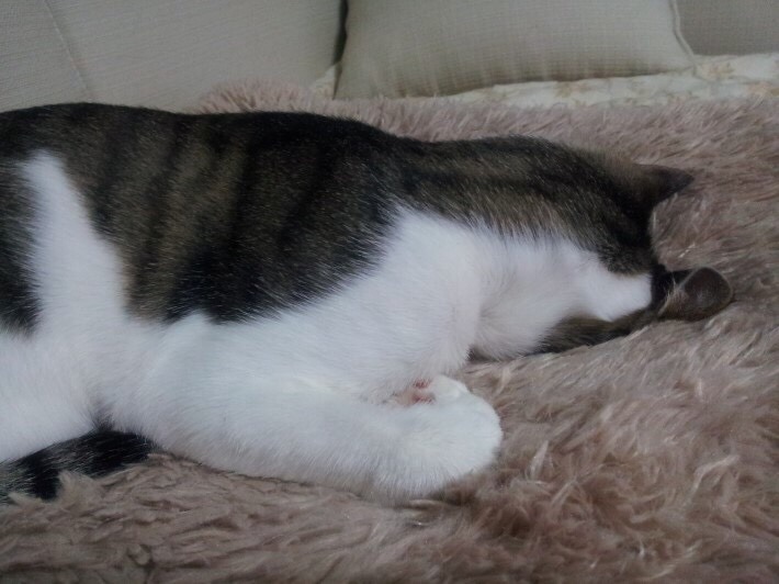 잘자내꿈꿔 | 인스티즈