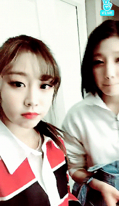 평소 서로 닮았다는 얘기 엄청듣는 러블리즈 멤버.jpgif | 인스티즈