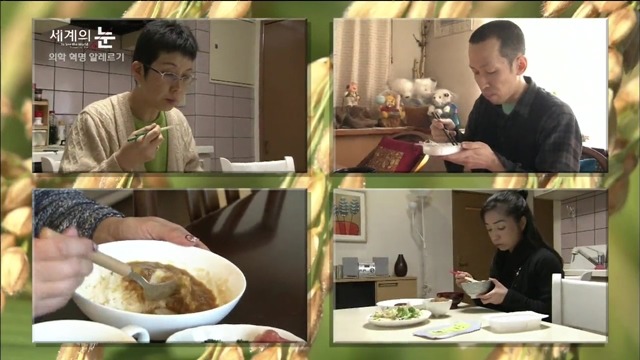 다큐 세계의 눈 - 의학 혁명 알레르기 | 인스티즈