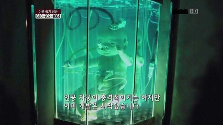 인공 자궁 개발.JPG | 인스티즈