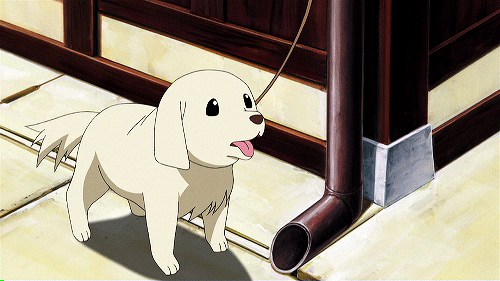 2D 강아지 (움짤多/ | 인스티즈