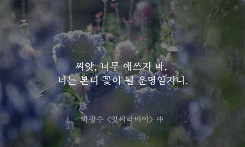 자존감이 낮은 당신에게 필요한 명언 13가지 | 인스티즈