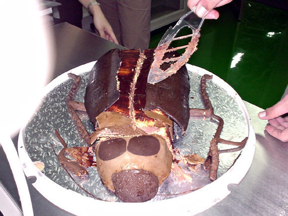 바퀴벌레 모양 케이크 (혐오주의) | 인스티즈