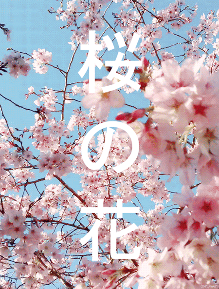 일본의 풍경 | 인스티즈