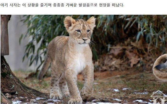 혼나는 아빠 | 인스티즈