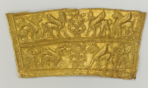 절대 털끝 하나 다치지 않는다는 가정하에,문명을 경험할 수 있다면? | 인스티즈