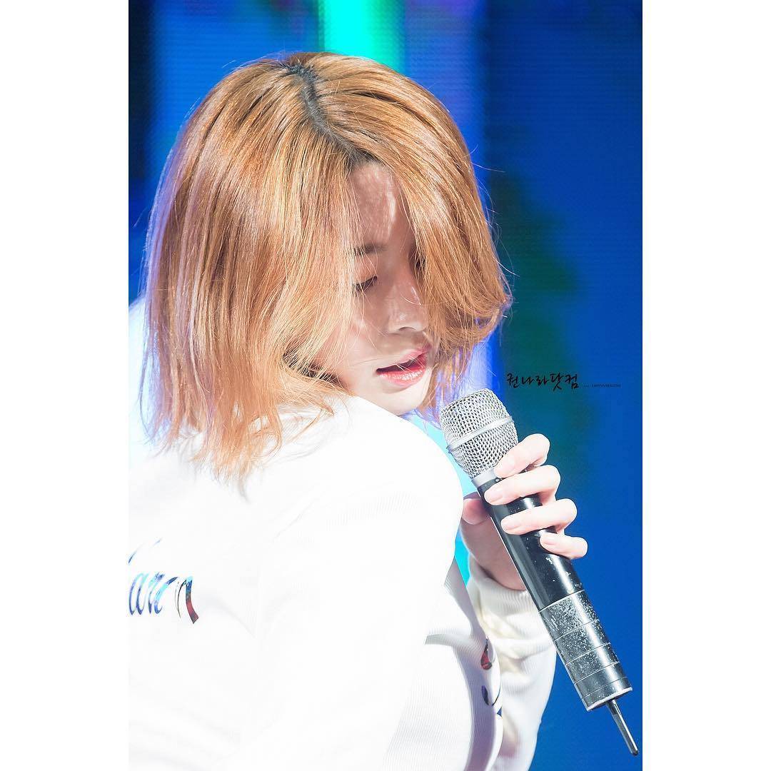 주관적인 배우상 아이돌 | 인스티즈