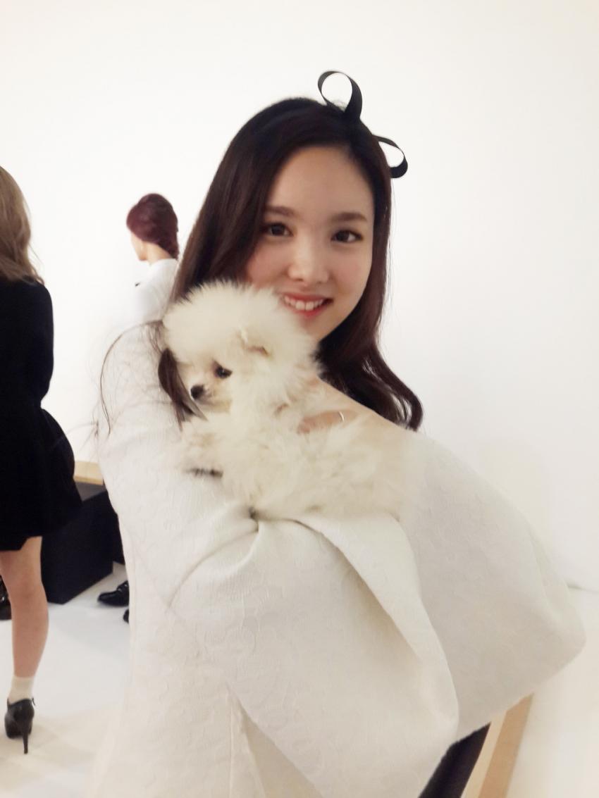 [트와이스] 광고 촬영 중 멍뭉이에 정신팔린 맴버들 ㅋㅋ | 인스티즈