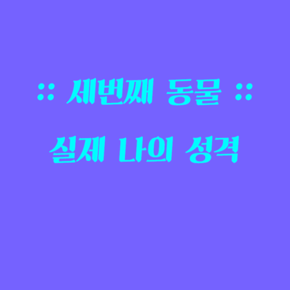 동물로 알아보는 성격 심리테스트 | 인스티즈