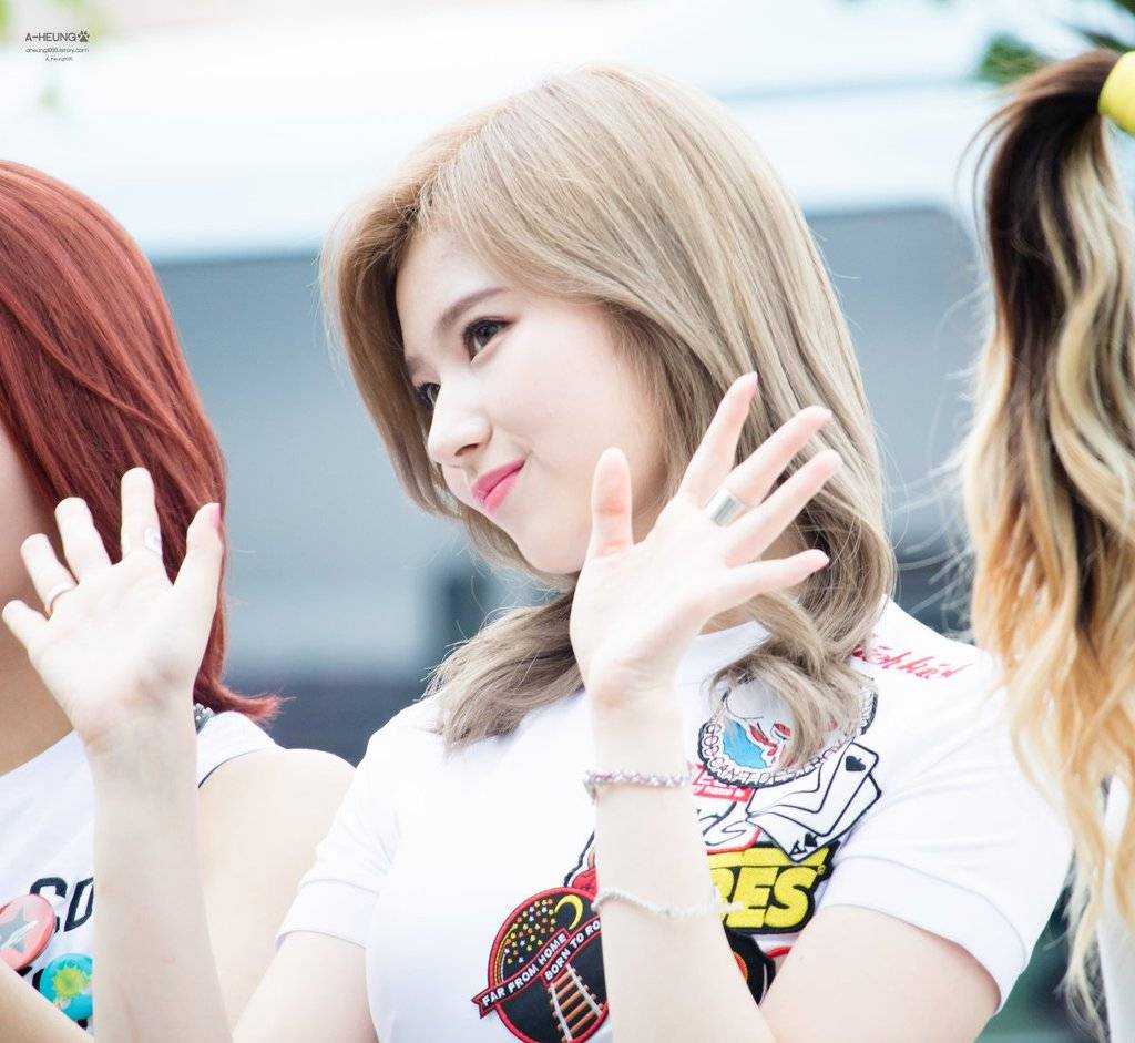 살찔 기미가 보이는 사나.jpg | 인스티즈