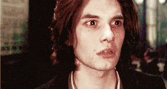 텀블러에서 양덕들이 젊은 시리우스 블랙으로 밀고있는 배우 | 인스티즈