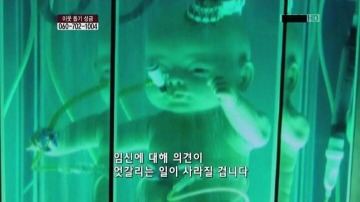 인공 자궁 개발.JPG | 인스티즈