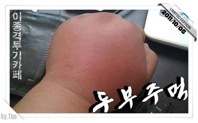 포메리안 일진 컷 | 인스티즈