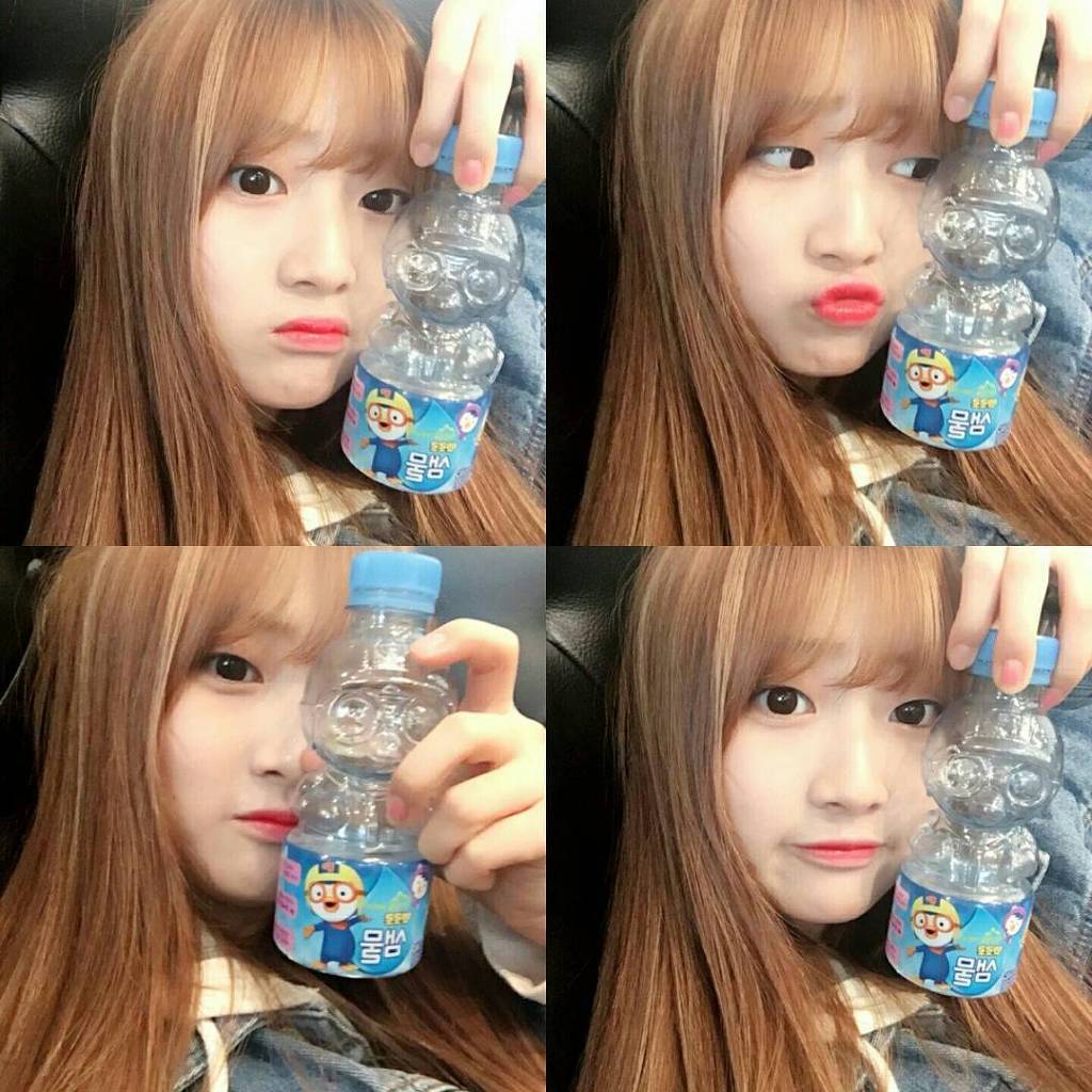 짹틀러 짹짹갓 한혜리 (프로듀스101) | 인스티즈