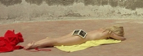 [브리짓바르도] 한때 프랑스 마릴린 먼로로 불린 스타일 아이콘(뒷태주의) | 인스티즈