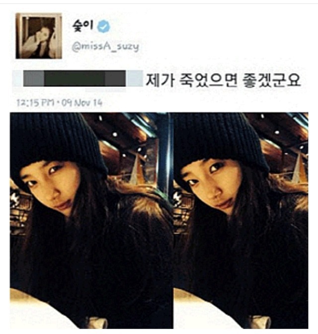 수지에게 지속적으로 악플달던 사람 | 인스티즈