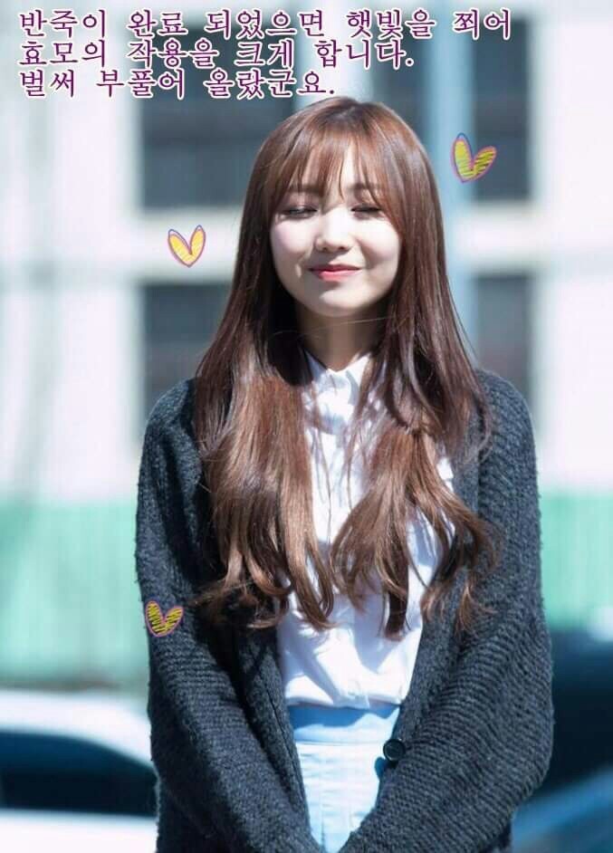 멍청美 낭낭한 짤로만 채워 본 러블리즈 빵떡.jpgif | 인스티즈