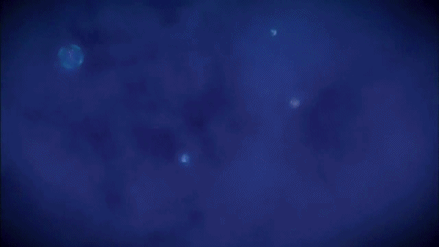 우리가 사는 우주 외에 또다른 우주가 무수히 존재한다 .jpg | 인스티즈