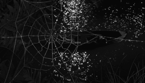 몽상가들에게 영화 추천 사냥꾼의 밤 1955 | 인스티즈