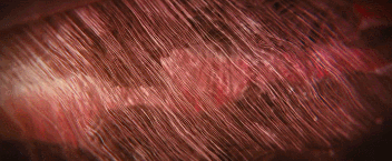 [트와일라잇] 엄마가 된 (구)닝겐 (현)뱀파이어... (놀람주의& | 인스티즈