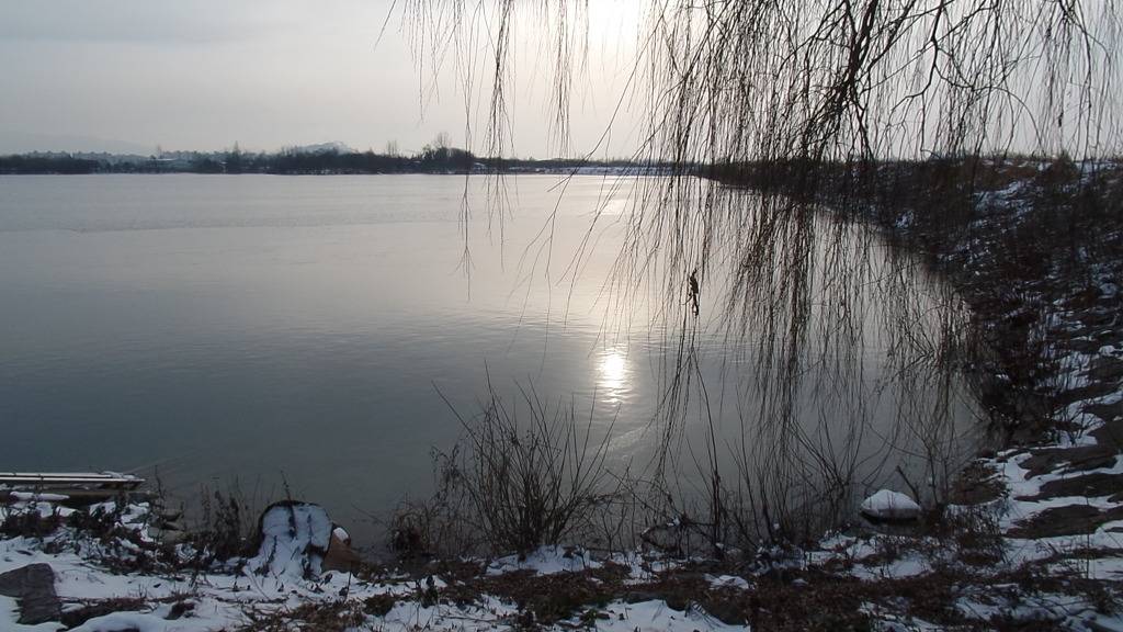 전북 전주 백석제 호수의 아름다운 겨울 풍경 (안구정화) | 인스티즈