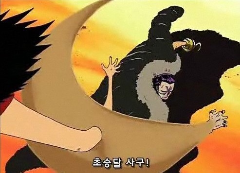 원피스 자연계 열매중 가장 멋지다고 생각되는 능력은? | 인스티즈