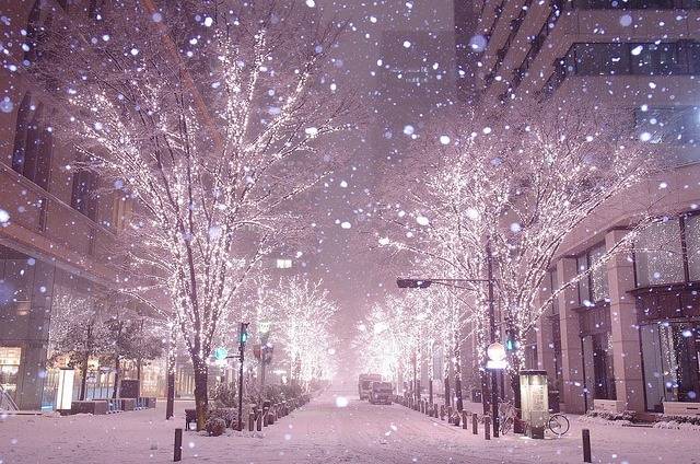  걷고 싶은 거리 고르기 | 인스티즈