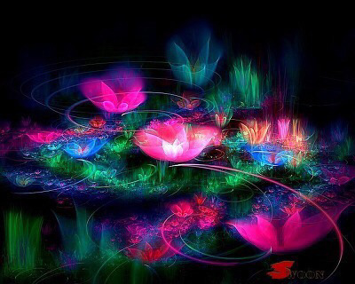 선인장 꽃 | 인스티즈