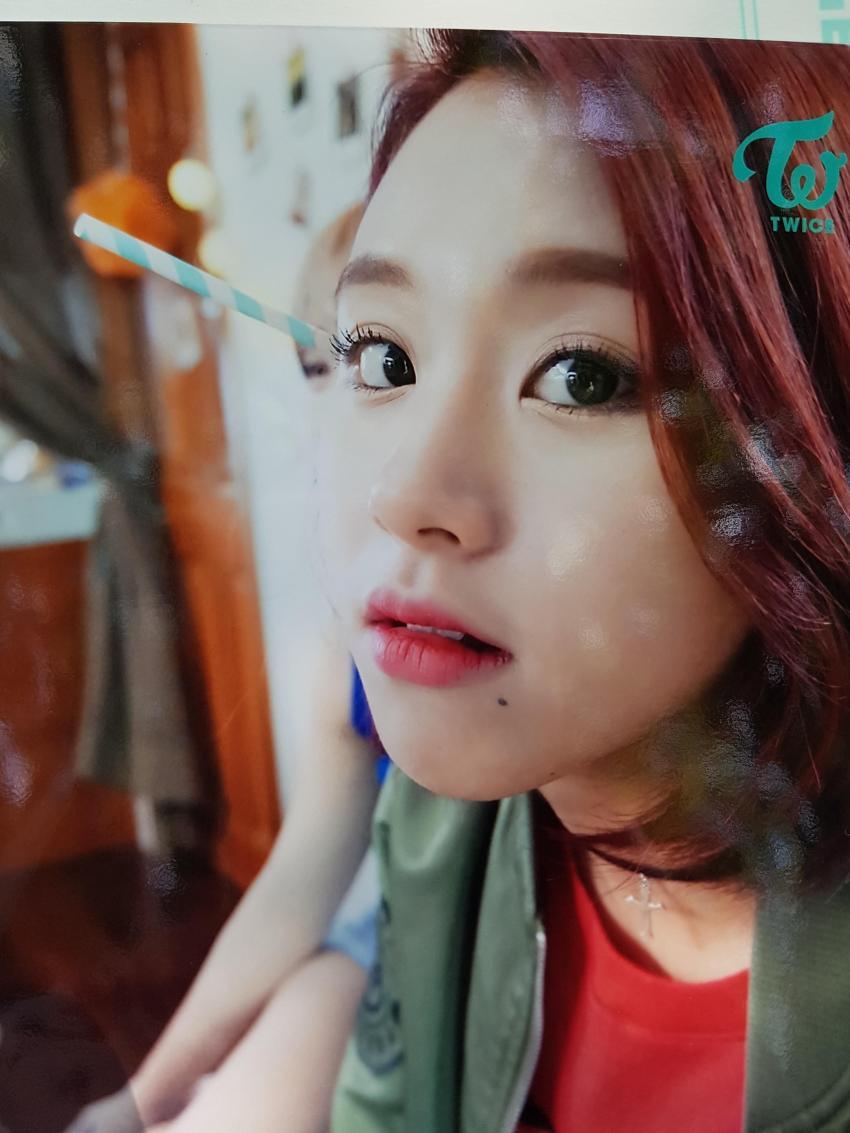 [트와이스] 아기맹수 채영이 짤 모음.gif | 인스티즈