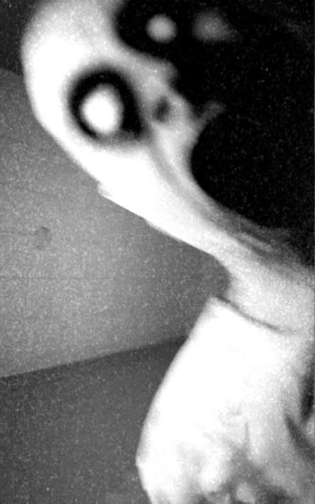 괴이하고 공포스러운 사진들.gif (혐오주의) | 인스티즈