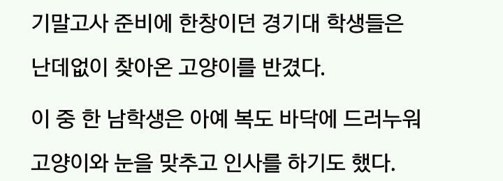 추위 피해 도서관 들어온 길냥이에게 집·이불 내준 경기대 학생들 | 인스티즈