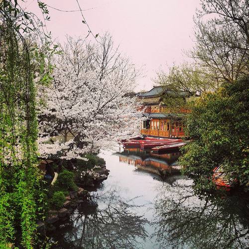 절대 털끝 하나 다치지 않는다는 가정하에,문명을 경험할 수 있다면? | 인스티즈