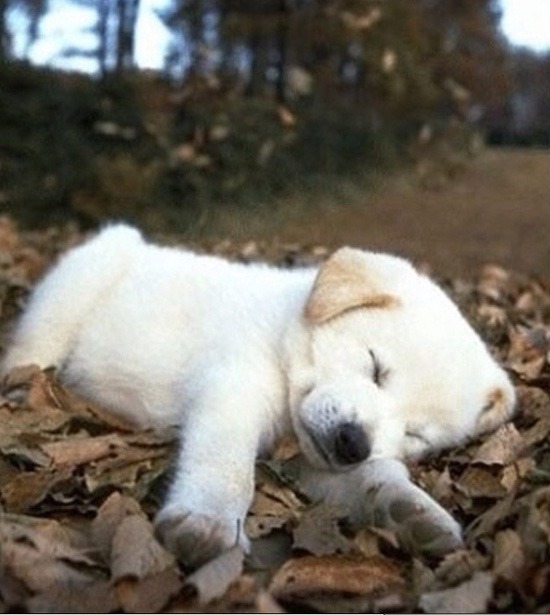 잘자내꿈꿔 | 인스티즈