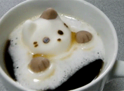 시룸주의] 고양이 녹는 모습 | 인스티즈