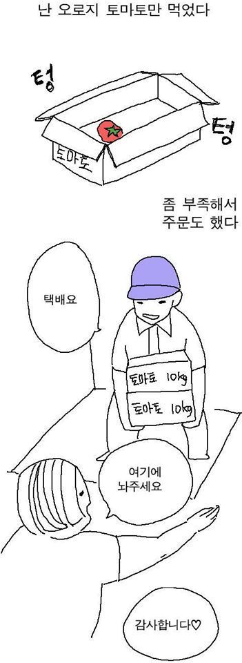 토마토 다이어트 | 인스티즈