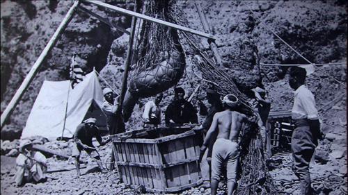 일본의 뻔뻔함 | 인스티즈