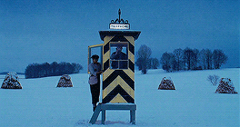 [그랜드부다페스트호텔] 감독이 대칭성애자일 때 생기는 일 | 인스티즈