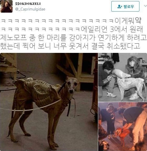 에일리언3의 비밀.jpg | 인스티즈