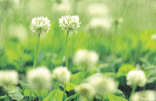 괜히 우울하고 기분 이상하게 만드는날 .jpg | 인스티즈