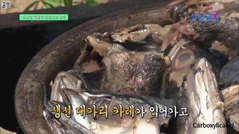 나는 자연인이다 레전드.jpgif | 인스티즈